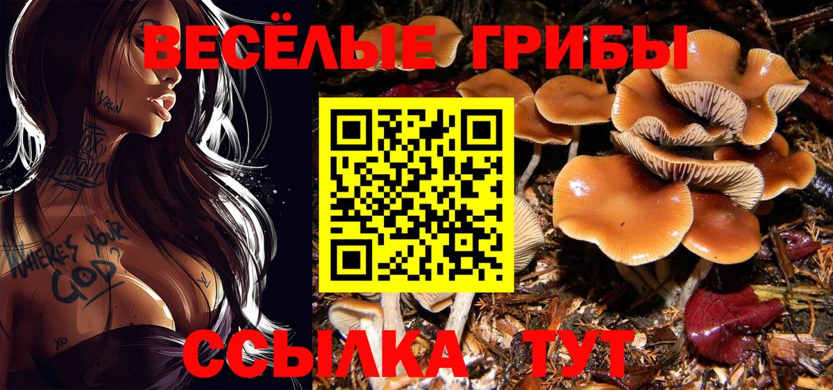 Галлюциногенные грибы MAGIC MUSHROOMS Орёл