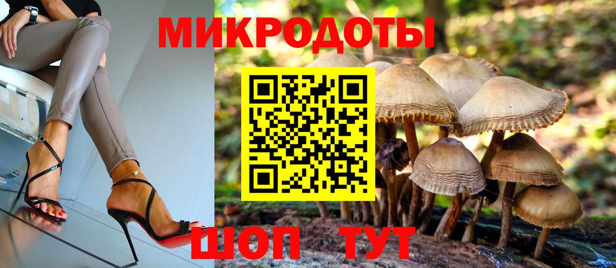 Галлюциногенные грибы Psilocybine cubensis  Вход с VPN  Орёл 